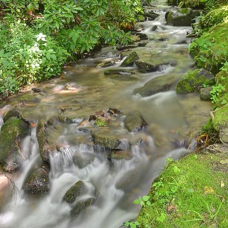 Panther Creek Cabins เชอโรคี ภายนอก รูปภาพ