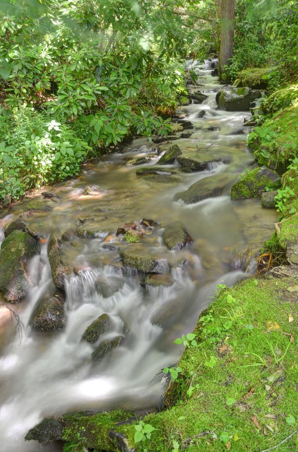 Panther Creek Cabins เชอโรคี ภายนอก รูปภาพ